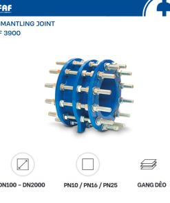 Khớp nối gang BB FAF 3900