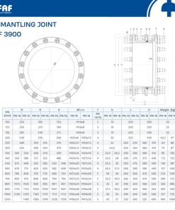 Thông số kỹ thuật khớp nối gang BB FAF 3900