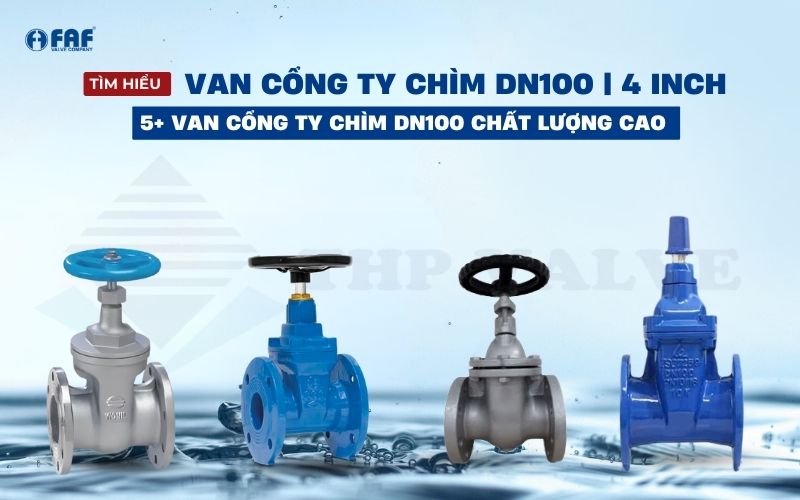 các loại van cổng ty chìm dn100