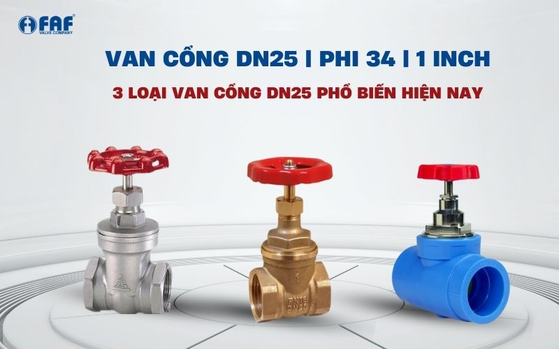 van cổng dn25