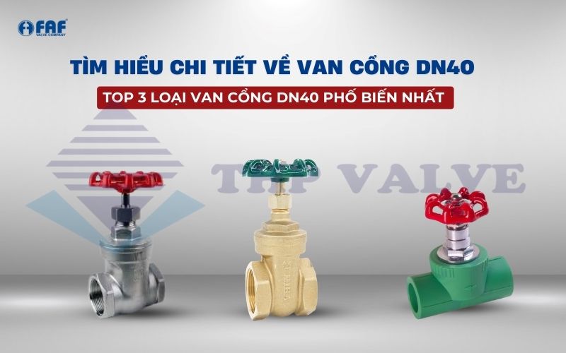 van cổng dn40 van cửa dn40