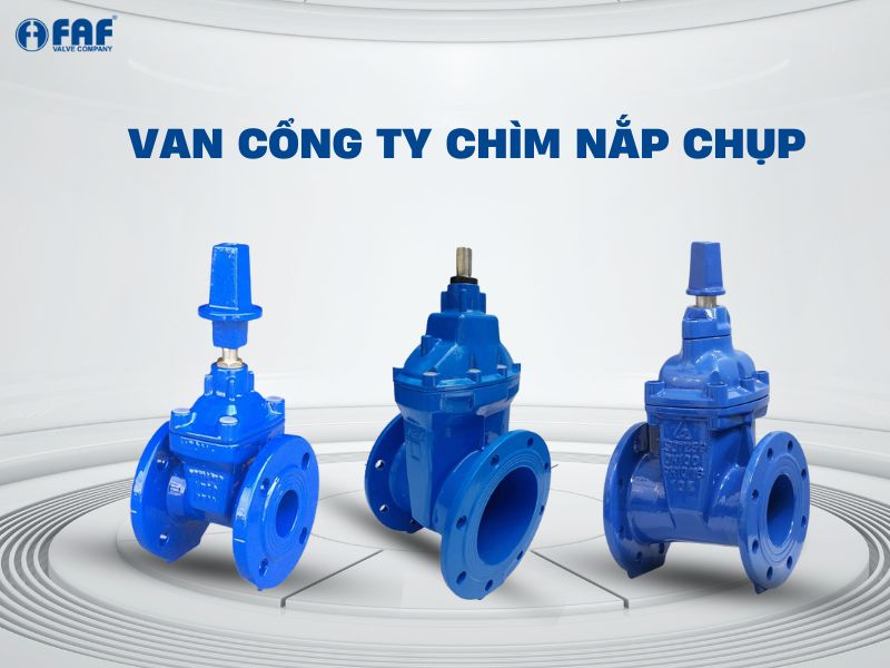 van cổng ty chìm nắp chụp