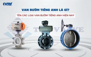 Van bướm trong tiếng anh được gọi là gì?