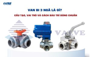van bi 3 ngã