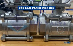 van bi inox 304