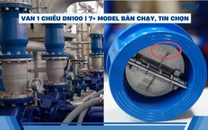 van 1 chiều dn100