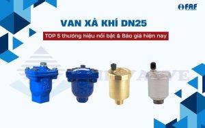 van xả khí dn25